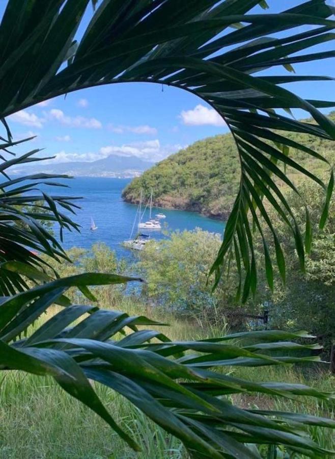 studio Sainte Anne 2mn a pieds de la plage ,possibilité location de voiture CV acceptés Exterior foto